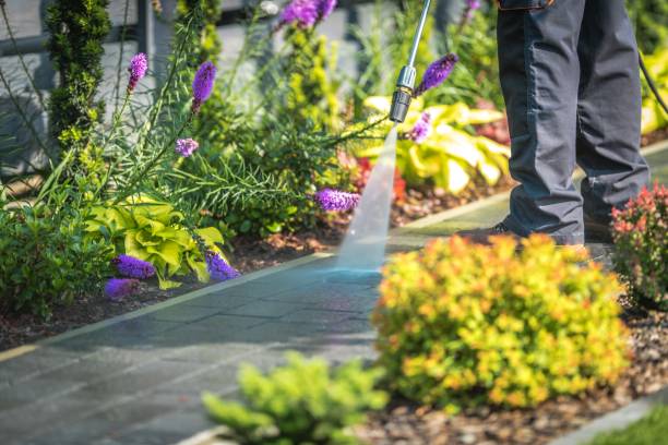 Best Patio and Deck Pressure Washing  in North Manchester, IN